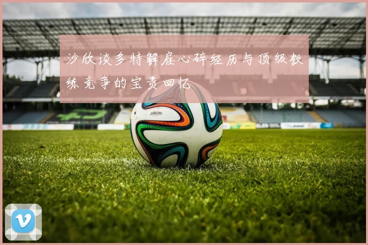 沙欣谈多特解雇心碎经历与顶级教练竞争的宝贵回忆